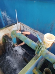 Pembersihan Filter IPA Bantimurung